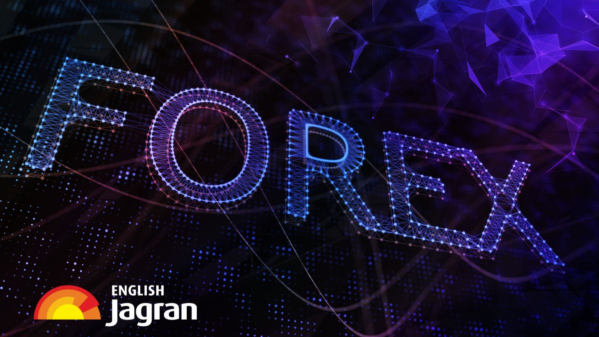 indias-forex-reserves-increase-usd-591-mn-to-usd-6167-bn